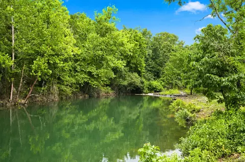 000 Cedar Cove Rd, Branson West, MO 65737 photo 44