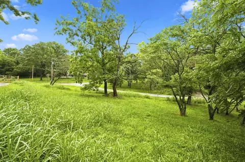 000 Cedar Cove Rd, Branson West, MO 65737 photo 34