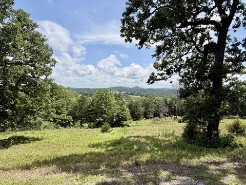 1 2nd Street # 3, Shell Knob, MO 65747 photo 12