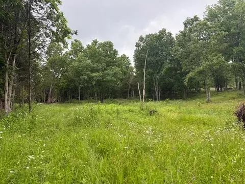 Other - 11932 Greenwood Rd, Cabool, MO 65689 photo 8 of 15