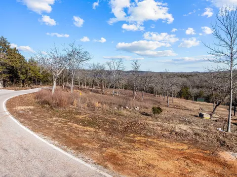 2416 Bread Tray Mountain Rd, Lampe, MO 65681 photo 6