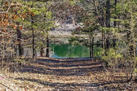 2416 Bread Tray Mountain Rd, Lampe, MO 65681