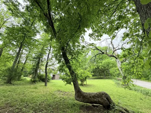 Exterior - 148 Crooked Tree Rd, Galena, MO 65656 photo 6 of 6