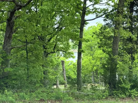 Other - 148 Crooked Tree Rd, Galena, MO 65656 photo 4 of 8