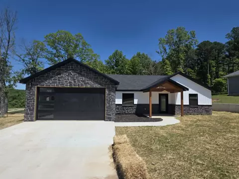Exterior - 203 Juniper Ave, Cabool, MO 65689 photo 2 of 9