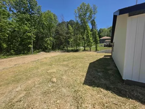 Exterior - 203 Juniper Ave, Cabool, MO 65689 photo 8 of 9