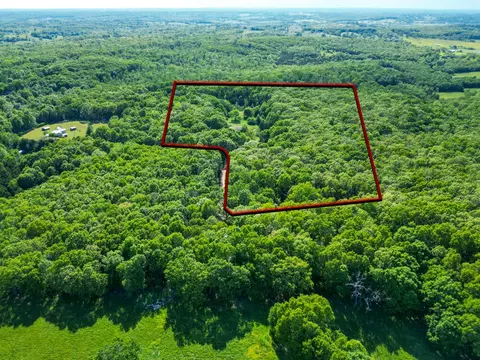 10650 Sunflower Ln, Falcon, MO 65470