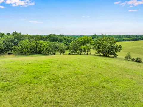 Other - 350 Alice Pl, Ozark, MO 65721 photo 1 of 21