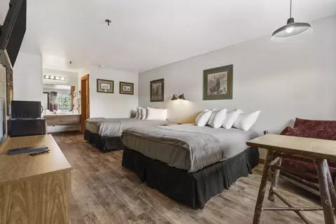Other - 982 Indian Point Rd #229, Branson, MO 65616 photo 5 of 6
