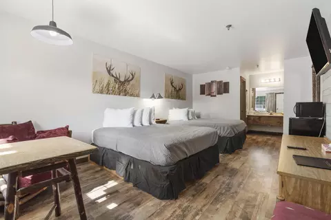Other - 982 Indian Point Rd #229, Branson, MO 65616 photo 6 of 6