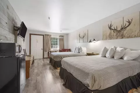 Bedroom - 982 Indian Point Rd #229, Branson, MO 65616 photo 7 of 7