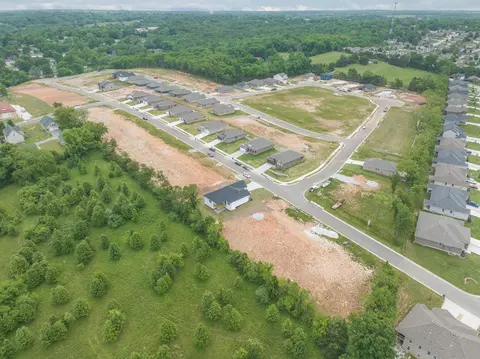 910 W Jay St #LOT 82, Ozark, MO 65721 photo 3