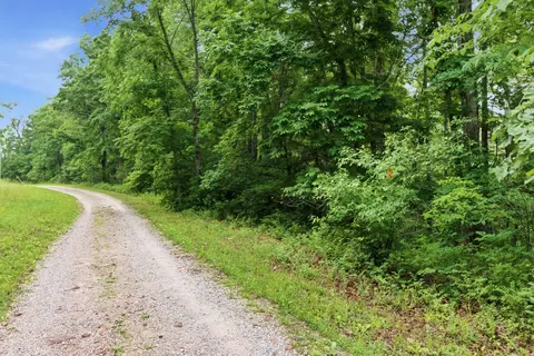 Other - 9723 Highway E, Houston, MO 65483 photo 19 of 26