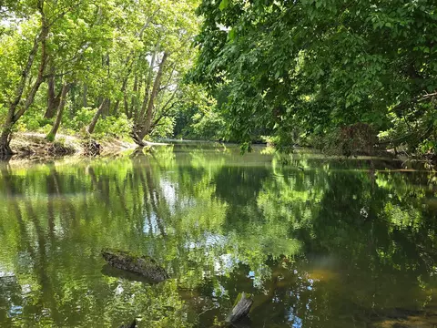 Other - 9723 Highway E, Houston, MO 65483 photo 26 of 26