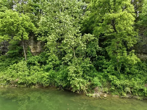 View/Area - 9723 Highway E, Houston, MO 65483 photo 15 of 21