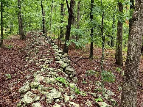 Other - 9723 Highway E, Houston, MO 65483 photo 22 of 26