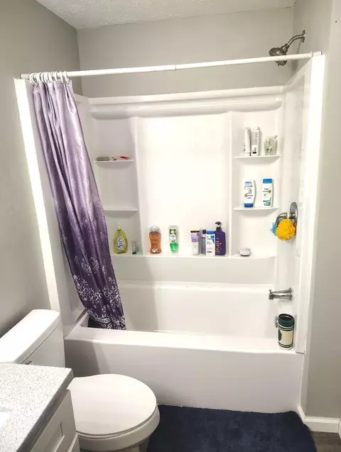 Bath - 125 E Chrysler Ave, Clever, MO 65631 photo 7 of 8