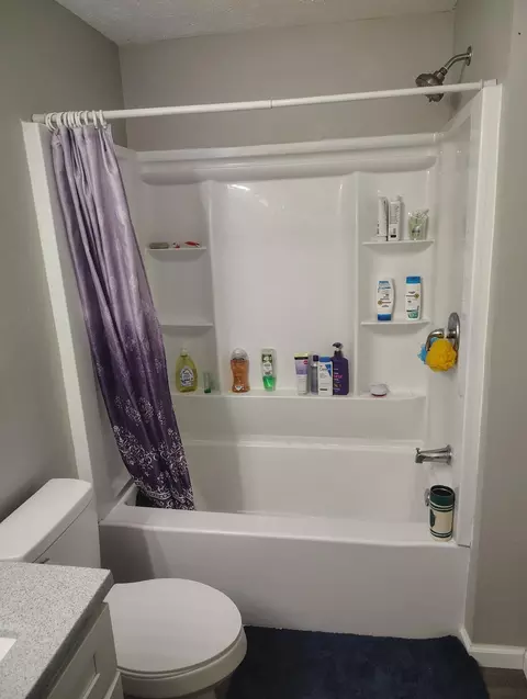 Bath - 125 E Chrysler Ave, Clever, MO 65631 photo 4 of 8