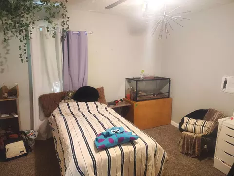 Bedroom - 125 E Chrysler Ave, Clever, MO 65631 photo 3 of 5