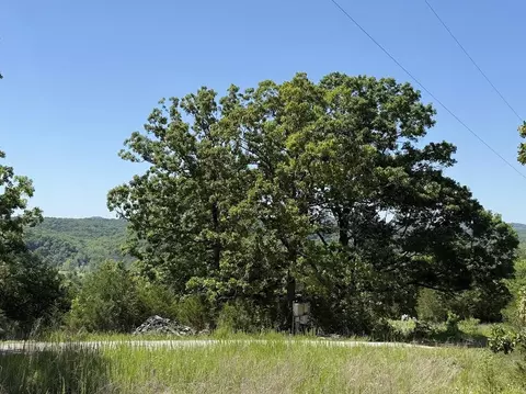535 Skyline Dr, Forsyth, MO 65653 photo 11