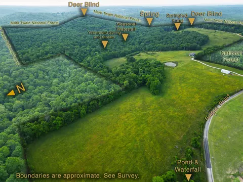 View/Area - 995 Badger Rd, Oldfield, MO 65720 photo 1 of 9