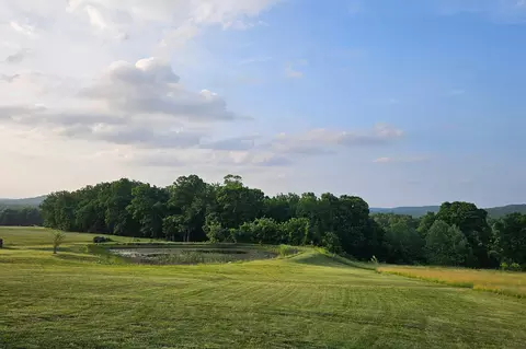 View/Area - 995 Badger Rd, Oldfield, MO 65720 photo 6 of 9