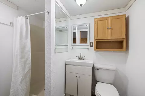 Bath - 995 Badger Rd, Oldfield, MO 65720 photo 5 of 6