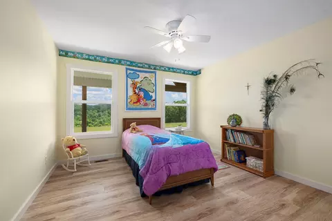 Bedroom - 995 Badger Rd, Oldfield, MO 65720 photo 3 of 8