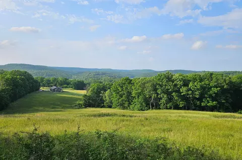 Other - 995 Badger Rd, Oldfield, MO 65720 photo 46 of 48