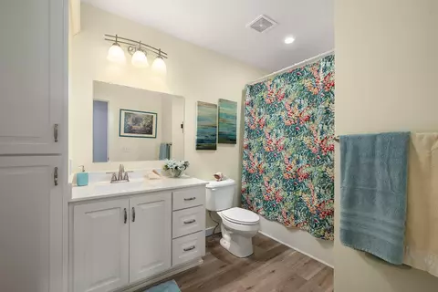 Bath - 995 Badger Rd, Oldfield, MO 65720 photo 3 of 6