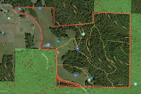 View/Area - 995 Badger Rd, Oldfield, MO 65720 photo 9 of 9
