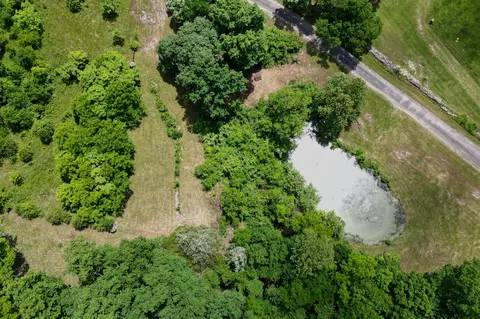 View/Area - 995 Badger Rd, Oldfield, MO 65720 photo 3 of 9