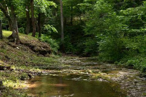 Other - 995 Badger Rd, Oldfield, MO 65720 photo 42 of 48