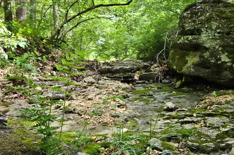 Other - 995 Badger Rd, Oldfield, MO 65720 photo 39 of 48