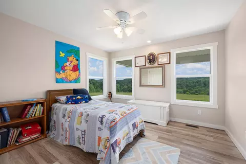 Bedroom - 995 Badger Rd, Oldfield, MO 65720 photo 5 of 8