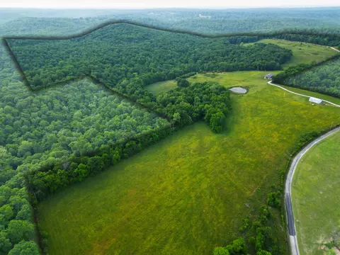 View/Area - 995 Badger Rd, Oldfield, MO 65720 photo 8 of 9
