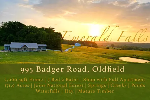 995 Badger Rd, Oldfield, MO 65720