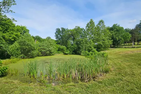 Other - 995 Badger Rd, Oldfield, MO 65720 photo 32 of 48