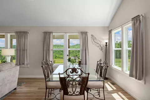 Dining - 995 Badger Rd, Oldfield, MO 65720 photo 2 of 2