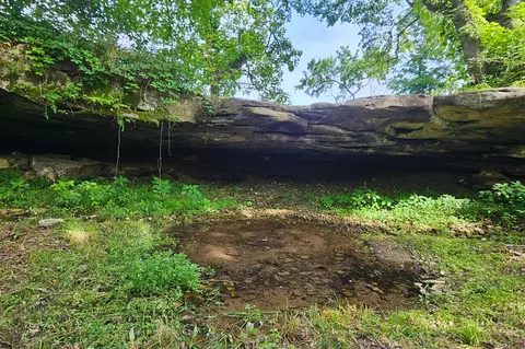 Other - 995 Badger Rd, Oldfield, MO 65720 photo 33 of 48