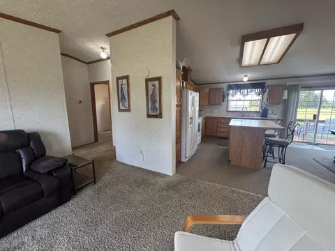1601 State Highway Bb, Crane, MO 65633 photo 25