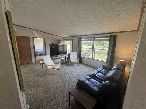 1601 State Highway Bb, Crane, MO 65633 photo 10