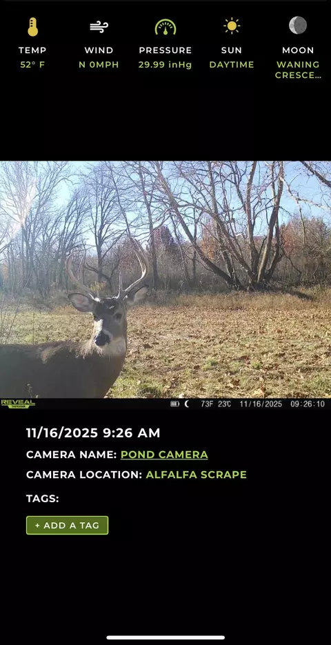 000 W Farm Road 186, Springfield, MO 65810 photo 30