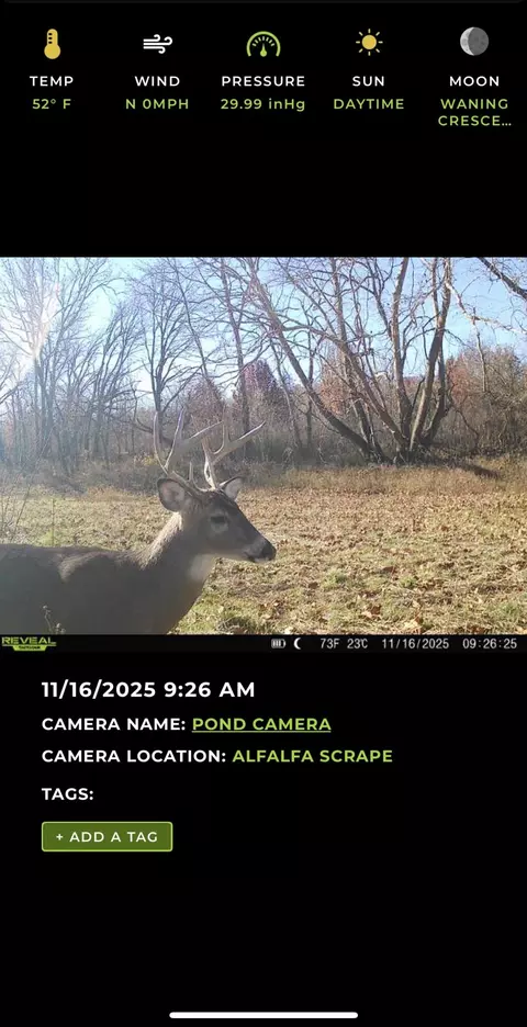 000 W Farm Road 186, Springfield, MO 65810 photo 31
