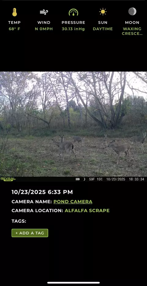 000 W Farm Road 186, Springfield, MO 65810 photo 27