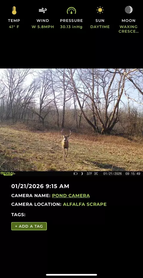 000 W Farm Road 186, Springfield, MO 65810 photo 34