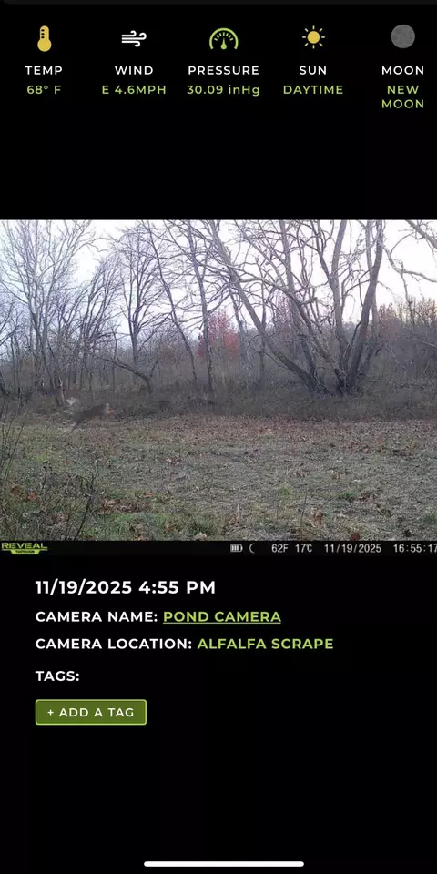 000 W Farm Road 186, Springfield, MO 65810 photo 32