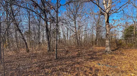 451 Moonshadow Rd, Marshfield, MO 65706 photo 31