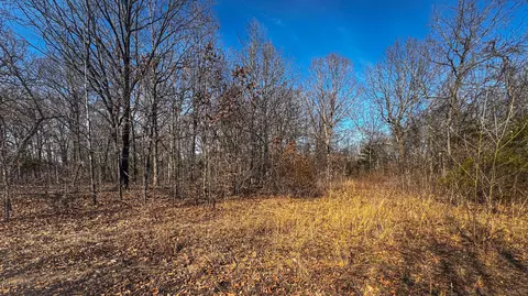451 Moonshadow Rd, Marshfield, MO 65706 photo 28