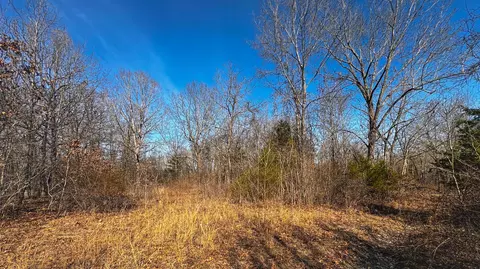 451 Moonshadow Rd, Marshfield, MO 65706 photo 29